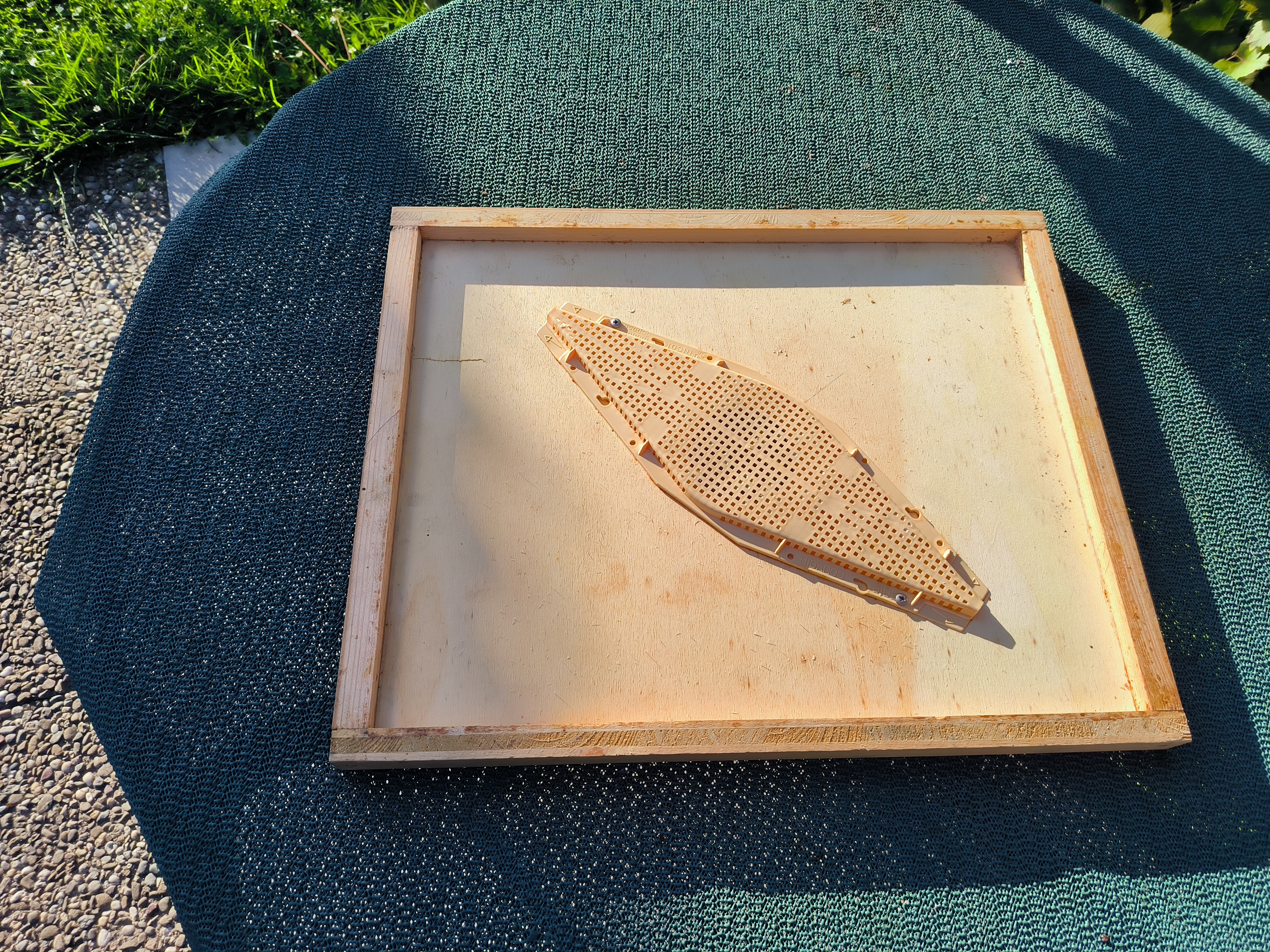 Bienenflucht von unten