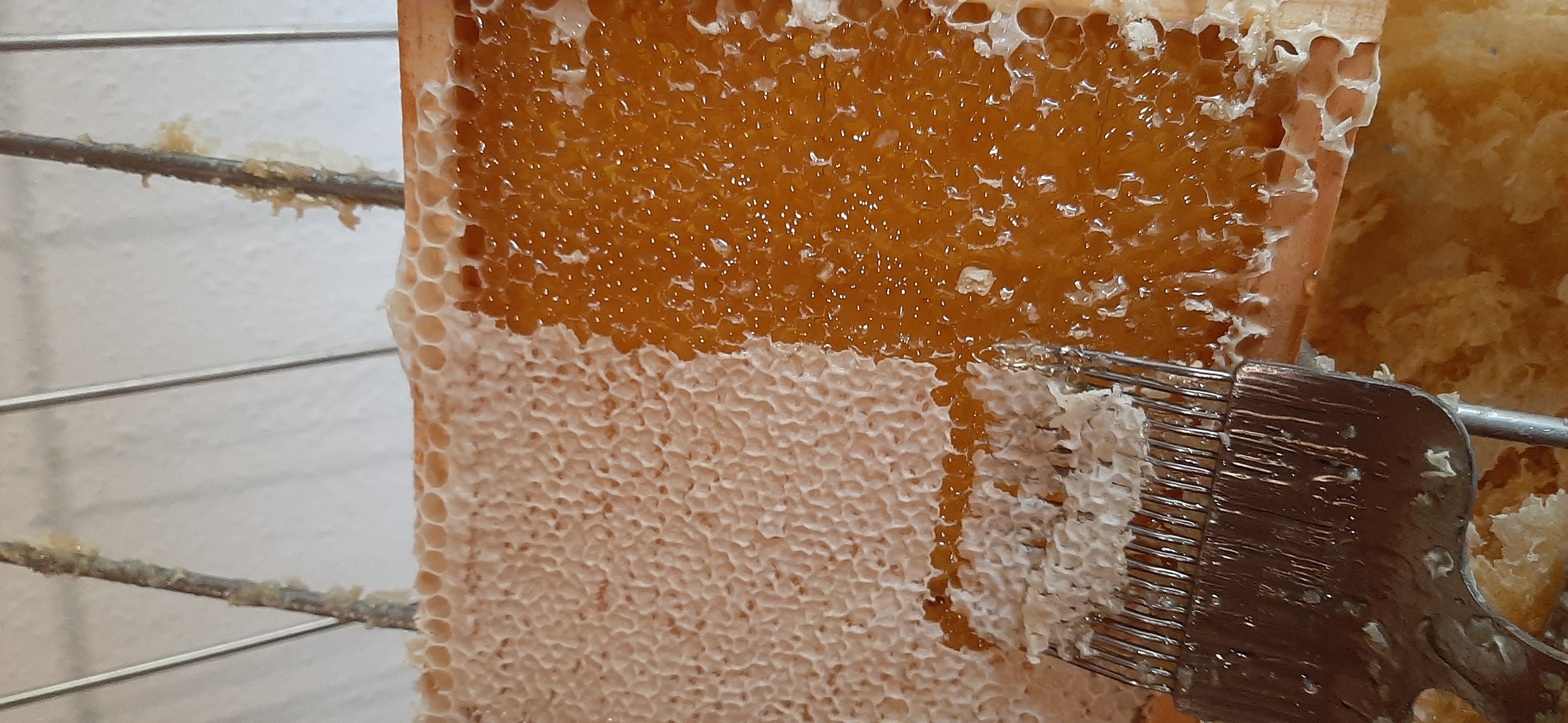 Honigwabe entdeckeln 2023